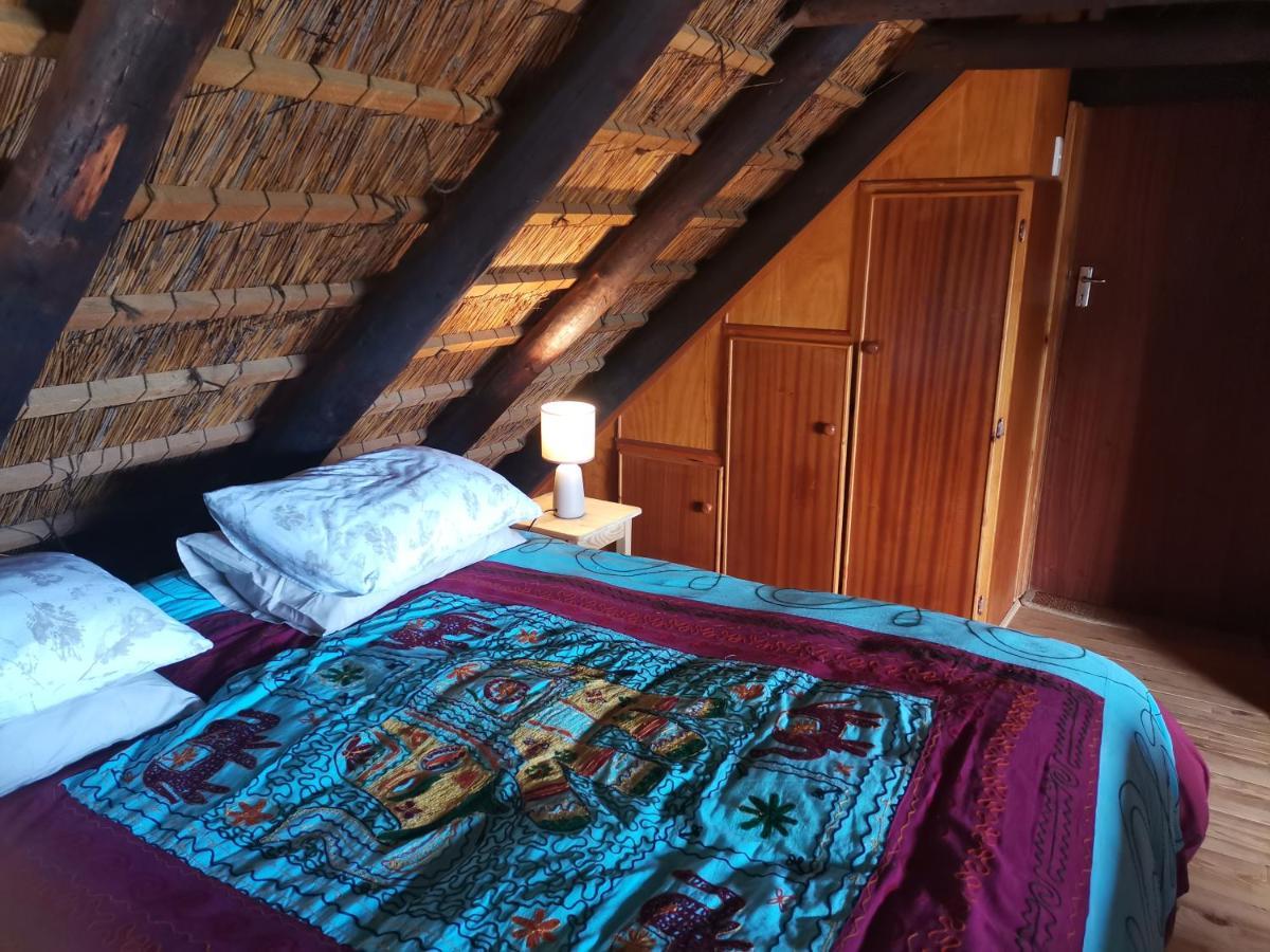 Chilli Moon B&B Stilbaai Kültér fotó